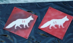 Le plan loup confirme un plafond d'abattage de 40 loups en 2018