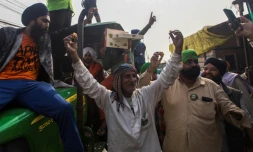 Des agriculteurs fêtent l'annonce de l'abrogation des trois lois de la réforme agricole, le 19 novembre 2021, à Singhu, près de New Delhi