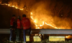 Des agents du Service des forêts sud-coréen observent les graves incendies qui ont ravagé le sud-est du pays, le 27 mars 2025 à Andong