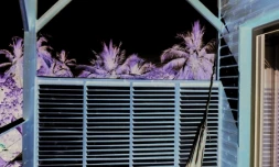 Exposition du CAUE du 12 au 29 avril 2011 (DR)