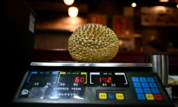 Un durian pesé en Chine dans une échoppe spécialisée en produits d'alimentation, le 18 janvier 2019 à Pékin