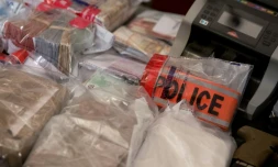 De la cocaïne et du cannabis saisis par la police, présentés  le 23 novembre 2015 au siège de la PJ à Paris