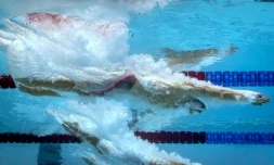 Le Français Clément Mignon lors des séries du 100 m libre aux Mondiaux de natation, le 24 juillet 2019 à Gwangju