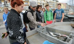 Clément Calmettes (c), professeur au lycée de la Mer, avec quelques uns de ses élèves de première année de BTS sur le port de Sète, dans l'Hérault, le 15 septembre 2015