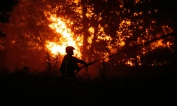 Un sapeur-pompier arrose la forêt près d'une zone résidentielle menacée par l'incendie proche de Lège-Cap-Ferret en Gironde, le 23 juillet 2026