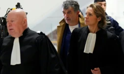 Stéphane Plaza arrive au tribunal correctionnel de Paris, le 9 janvier 2025, avec ses avocats Maître Carlo Alberto Brusa et Maître Hélène Plumet