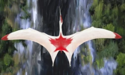 Photo non datée diffusée le 10 septembre 2019 par l'Université Queen Mary de Londres montrant le ptérosaure Cryodrakon boreas