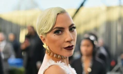 Après le vol de deux de ses chiens à Hollywood, Lady Gaga avait offert une récompense de 500.000 dollars