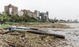 Les abords du port de Durban le 16 avril 2022