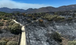 Une vue aérienne du sol calciné dans la région du Camino de Navahonda, à la suite d'un incendie de forêt survenu près de Robledo de Chavela, à 60 kilomètres à l'ouest de Madrid, le 27 juillet 2026 