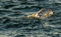 Une photo diffusée par Jon Washer Photography montrant Sarah Thomas une Américaine qui a vaincu un cancer traversant la Manche le 17 septembre 2019