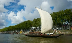 Des bateaux participent à Orléans au plus grand rassemblement de marine fluviale de France, le 23 septembre 2015
