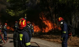 Des pompiers grecs tentent d’éteindre un incendie de forêt dans la région de Porto Germeno, à quelque 70 kilomètres au nord-ouest d’Athènes, dans la région de la Viotia, le 2 août 2026