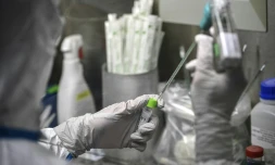 Dans un laboratoire de l'Institut Pasteur le 21 janvier 2020 Ă Paris