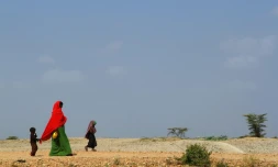 Une femme et ses enfants vont chercher de l'eau à Dolo Ado, en Ethiopie, le 15 décembre 2011