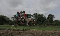 Des écoliers sur un âne à proximité de Leticia, dans la province de Cordoba, dans le nord de la Colombie, le 8 juin 2018