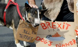 Des propriétaires de chiens et leur animaux domestiques ont manifesté le 7 octobre 2018 à Londres contre le Brexit

