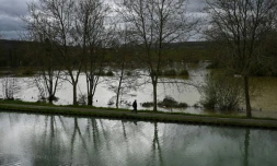 Un homme marche sur un chemin entre le canal de Bourgogne et la riviÚre Armançon en crue, le 2 avril 2024 prÚs d'Aisy-sur-Armançon, dans l'Yonne