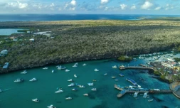 La baie de Puerto Ayora, aux Galapagos (Equateur), le 21 janvier 2018