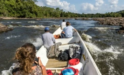 Des touristes visitent le fleuve Maroni en Guyane, le 28 novembre 2016