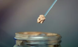 De la viande artificielle de poulet va bientĂŽt pouvoir ĂȘtre proposĂ© dans des restaurants Ă Singapour