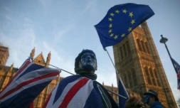Un partisan pro-européen lors d'une manifestation devant le parlement à Londres le 18 décembre 2017