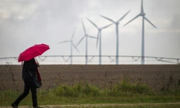 Trois nouveaux départements ont été placés dimanche matin en vigilance orange en raison de "vents très forts", portant à 21 le nombre total de départements concernés par cet épisode climatique, selon les prévisions de Météo-France.