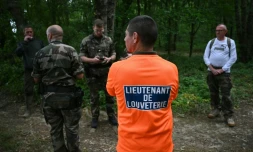 Des gendarmes et chasseurs participent aux recherches de la collégienne Lyhanna disparue depuis le 29 mai, le 3 juin 2026 près de Goutz, dans le Gers