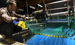 Julien Simon, du Laboratoire de technologie et biologie halieutique de l'Ifremer, teste un filet de pĂȘche intelligent dotĂ© de camĂ©ras et de capteurs, le 5 octobre 2021 Ă Lorient, dans le Morbihan