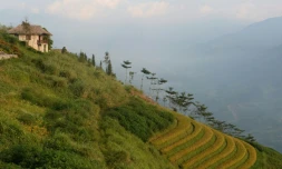 Vue sur le mont Fansipan, le point culminant des "Alpes du Tonkin" dans le nord du Vietnam, le 30 septembre 2016