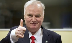 Ratko Mladic, l'ex-chef militaire des Serbes de Bosnie, lors de son procès au tribunal de La Haye, le 22 novembre 2017
