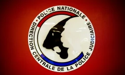 Quatre-vingt hommes soupçonnés de pédocriminalité interpellés cette semaine en France dans un vaste coup de filet
