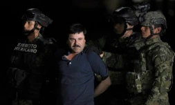 Le baron de la drogue El Chapo maintenu par des policiers peu après son arrestation, le 8 janvier 2016 sur le tarmac de l'aéroport de Mexico