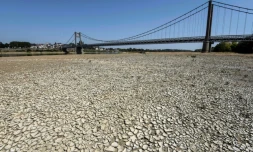 Une partie du lit de la Loire asséché, à Ancenis, le 11 août 2020