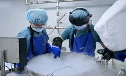 Image tirée d'une vidéo de l'AFPTV le 8 novembre 2023 montrant des chercheurs vérifiant des ovules congelés dans un laboratoire de recherche sur la fertilité du centre médical CHA Bundang, à Seongnam, en Corée du Sud