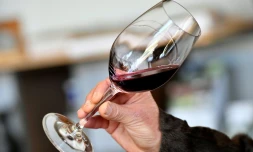 Toutes les catégories socio-professionnelles et tous les secteurs d'activités sont concernés par une consommation à risque d'alcool