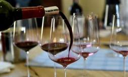 Dégustation des Bordeaux primeurs 2016 au Château La Lagune, à Ludon-Médoc, le 4 avril 2017