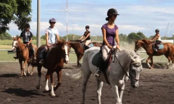 Le test d'admission pour entrer dans la section sport-études équitation aura lieu ce samedi 30 avril (Photo D.R.)