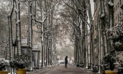 Une rue de Lyon sous la neige, le 2 avril 2022