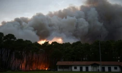 La foret de Chiberta à Anglet, attaquée par le feu le 30 juillet 2020