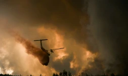Un avion pulvérise du retardateur de feu sur les arbres lors d'un incendie de forêt près de Belin-Beliet en Gironde, dans le sud-ouest de la France, le 10 août 2022