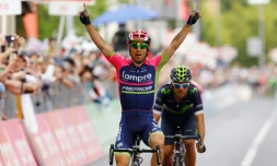 L'Italien Diego Ulissi (Lampre) célÚbre sa victoire d'étape au Giro d'Italia devant le Costaricien Andrey Amador, le 18 mai 2016 à Asolo