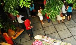 Lors d'une précédente brocante de jardin au CAUE (Photo D.R.)