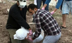 Inhumation par des volontaires le 30 septembre 2015 dans le cimetière de de l'île grecque de Mytilène, d'une fillette qui s'est noyée et dont les parents n'ont pas pu être retrouvés
