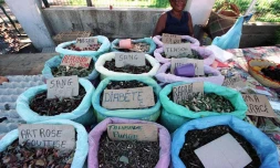 Tisanes sur un marché forain