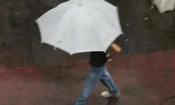 Pluie