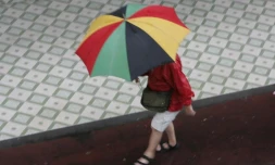 Pluie