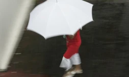 Pluie