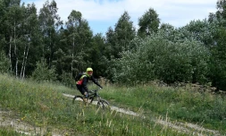 Un cycliste pratique le VTT alpin, le 31 juillet 2017 sur une piste des Deux-Alpes, dans l'Isère