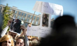Rassemblement contre les féminicides et en mémoire de Johanna, une femme de 27 ans tuée lundi au Havre,  le 18 septembre 2019